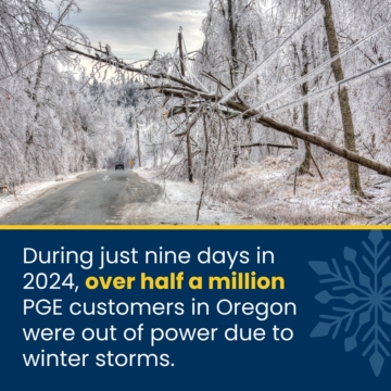 During just nine days in 2024, over half a million PGE customers in Oregon were out of power due to winter storms.