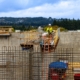 A construction site with rebar being used to create concrete walls.