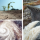 Collage of images including desert, hurricane, and dam.