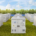 Multiple white energy storage systems (ESS) in a green field with trees in the background.