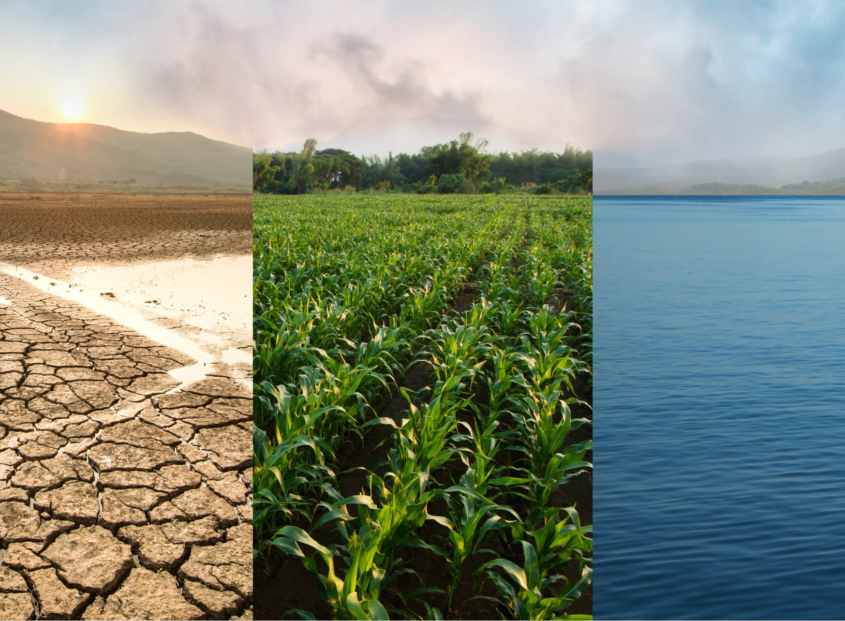 Image collage of barren desert, green field, and blue lake.